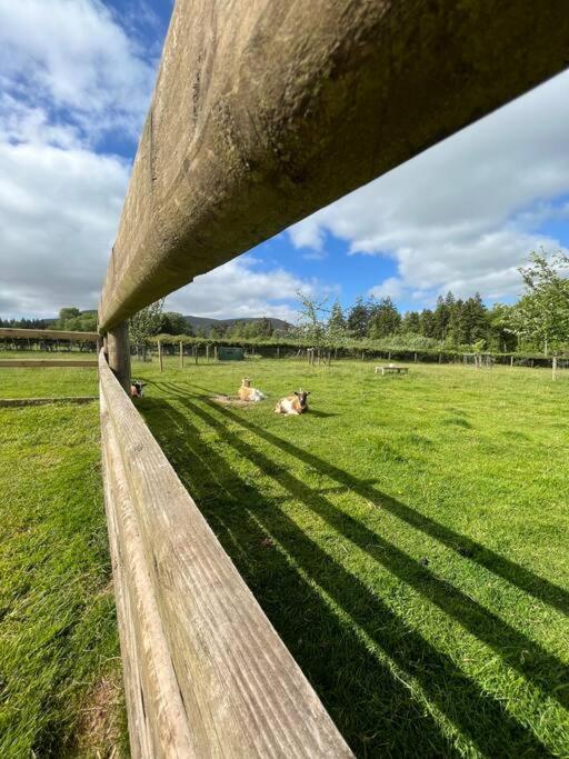 Herdmans Hideaway Brecon Kültér fotó